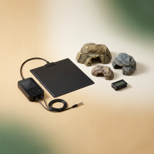 Kit Starter gecko leopard tout-en-un