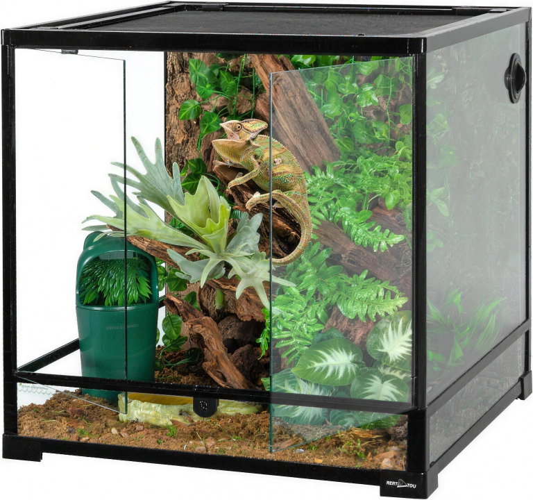 Terrarium en verre 60 × 40 × 30 cm